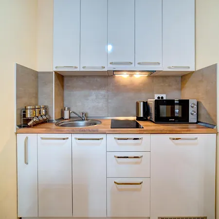 アパート Elsa 1 ズラティボール